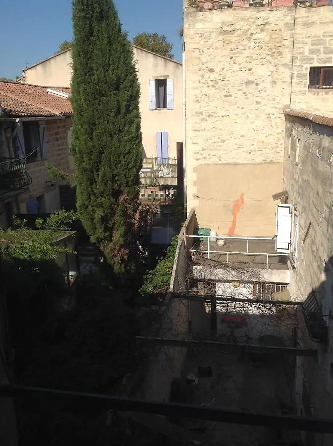 Charmant Studio Coeur Centre Ville Avignon